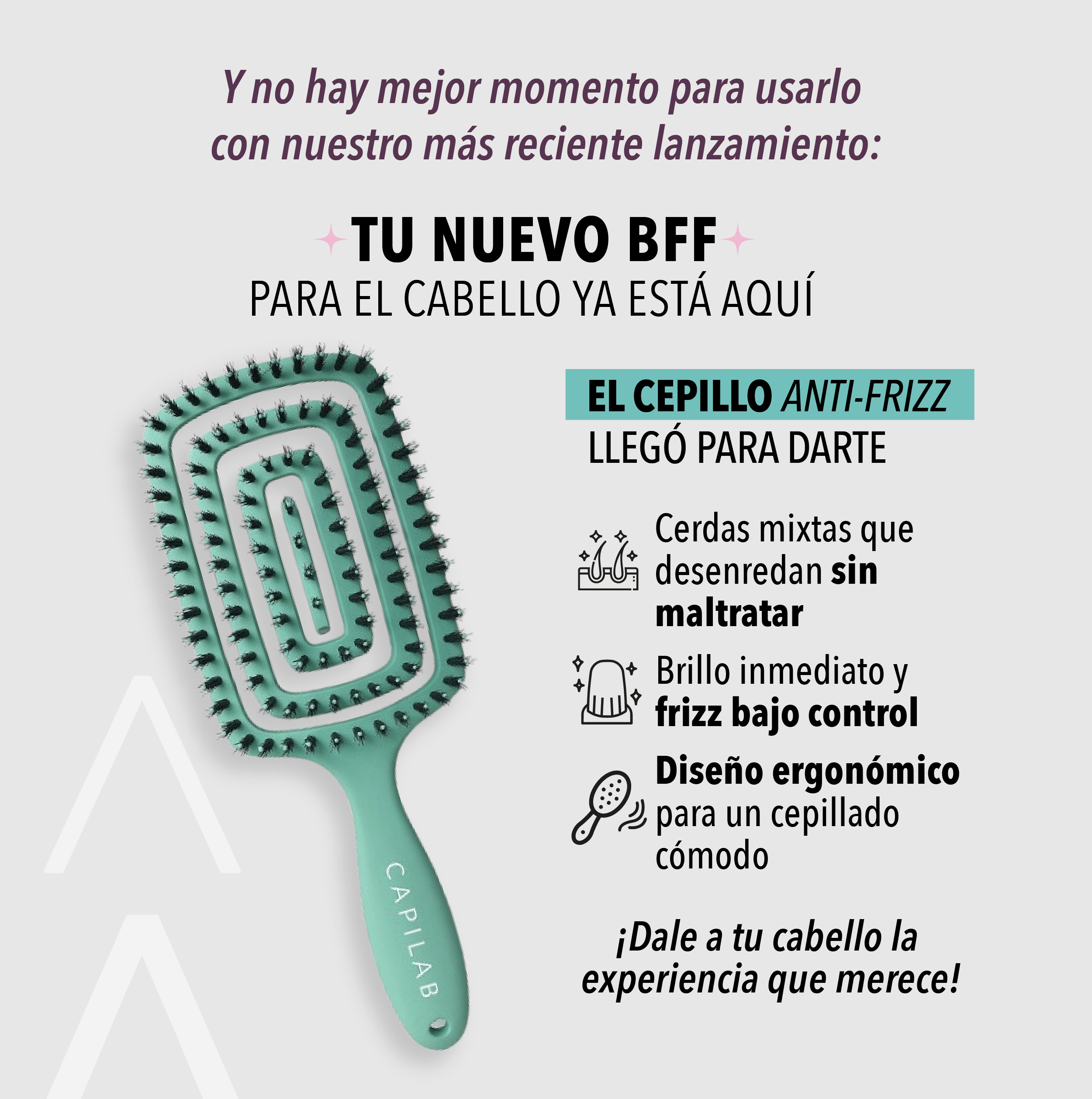 Cepillo Anti-Frizz Capilab