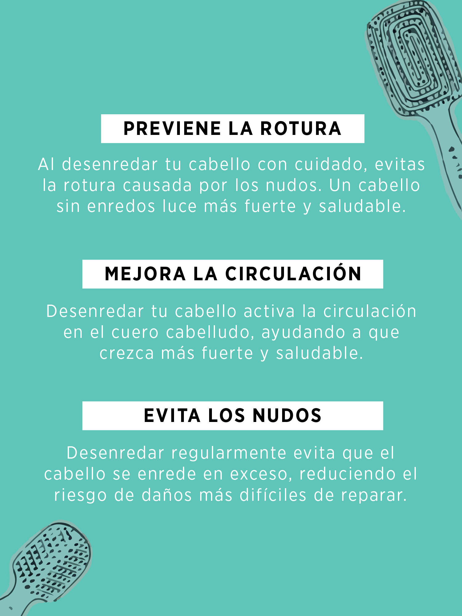 Cepillo Anti-Frizz Capilab
